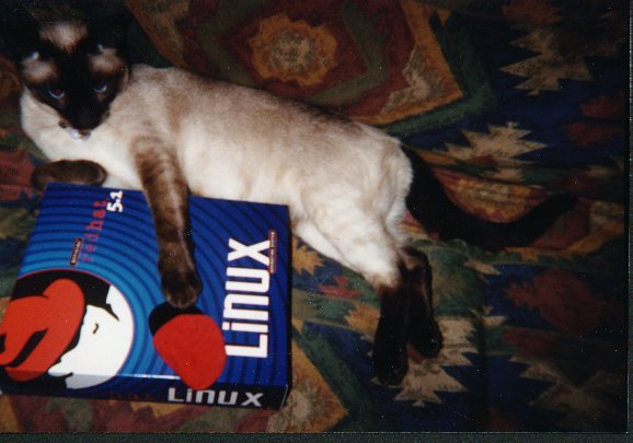 Cat Linux